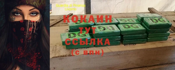 индика Александровское