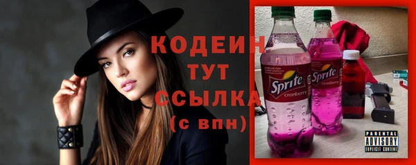 индика Александровское