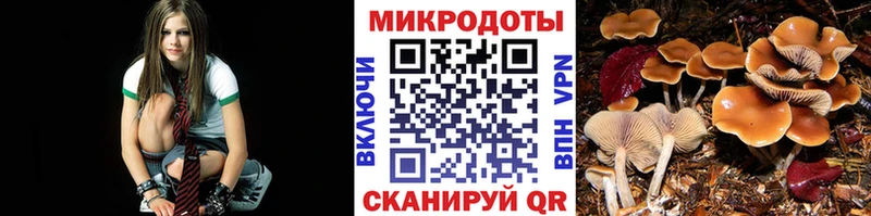 Псилоцибиновые грибы мицелий  купить наркотик  Аркадак 